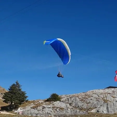 Lägenhet Alpine By Managers Kirchberg in Tirol