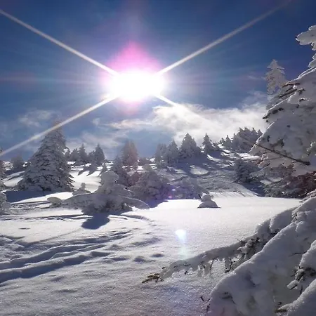 Alpine By Managers Apartament